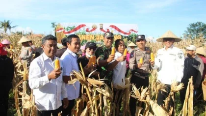 Kapolres Bangli AKBP I Gede Putra bersama warga dan aparat terkait memanen jagung dalam Panen Raya di Desa Landih, Bangli.