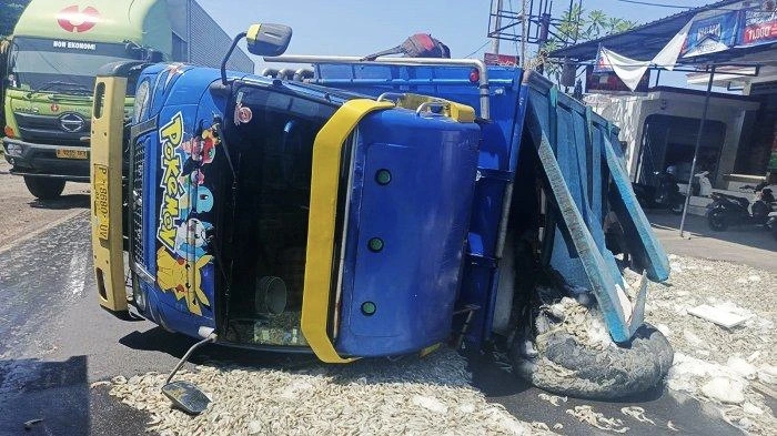Truk bermuatan udang terguling di Jalan Raya Denpasar-Gilimanuk wilayah Jembrana, Jumat siang (25/4).