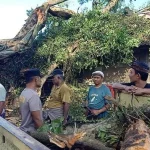 Warga bersama aparat melakukan evakuasi dan pembersihan di sekitar lokasi tumbangnya pohon beringin raksasa yang menimpa sejumlah bangunan di area Pura Pucak Empelan Dalem Semeru, Banjar Umadiwang, Desa Batannyuh, Kecamatan Marga, Tabanan, Minggu (25/5/2025).