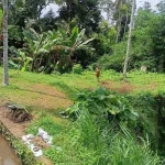 Lokasi kuburan bayi di Desa Adat Demulih, Kecamatan Susut, Bangli, Bali yang dibongkar oleh orang tak dikenal. Terletak di area terpencil dan berada di bawah tebing, lokasi ini dikenal angker dan jauh dari permukiman warga.