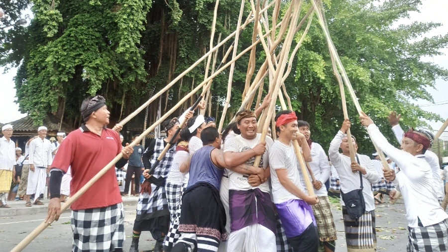 Krama Desa Adat Munggu bersemangat mengikuti tradisi Makotek dengan mengangkat dan membenturkan kayu pulet, sebagai simbol persatuan dan kekuatan spiritual menjelang Hari Raya Kuningan, Sabtu (3/5/2025).