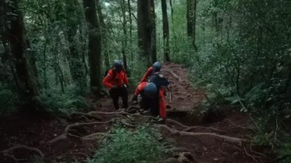 Tim SAR melakukan pencarian di jalur hutan Gunung Batukaru untuk menemukan empat pendaki yang dilaporkan tersesat. (Foto: Istimewa)