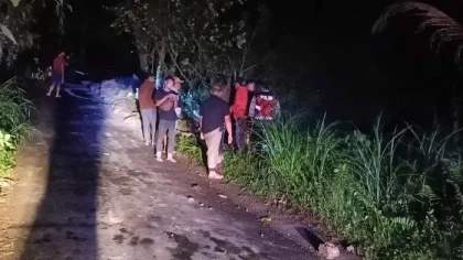 Petugas dan warga meninjau lokasi truk pengangkut semen yang terjun ke jurang di jalur Song Landak menuju Banjar Lumbuan, Desa Sulahan, Kecamatan Susut, Bangli, pada malam hari. (Foto: Istimewa)
