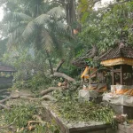 Dahan pohon kayu putih berusia ratusan tahun menimpa dua pelinggih subak dan penyengker kolam di areal Pura Penataran Agung Jeroan, Banjar Kebon, Desa Kertamandala, Kecamatan Abang, Karangasem. (Foto: Istimewa)