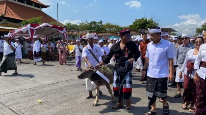 Umat Hindu di Jembrana menggelar prosesi ritual Mulang Pakelem di Pelabuhan Gilimanuk, sebagai bentuk persembahan suci ke tengah laut untuk memohon keselamatan dan keharmonisan alam. (Foto: Istimewa)