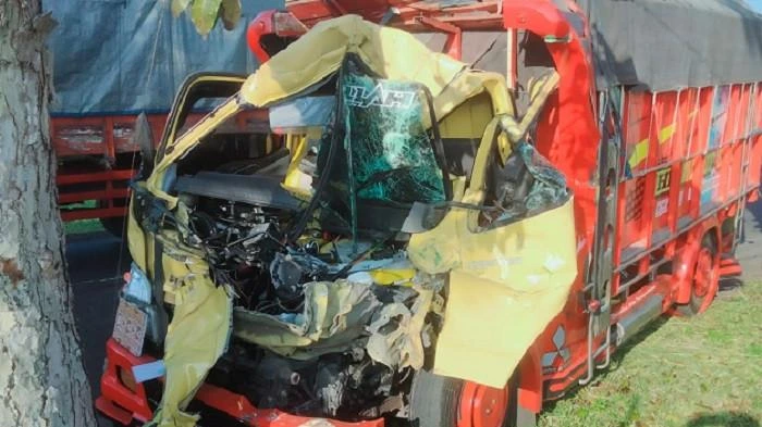 Sebuah truk mengalami kerusakan parah usai menabrak pohon di pinggir jalan. Kecelakaan ini menyebabkan bagian depan truk ringsek total. (Foto: Istimewa)